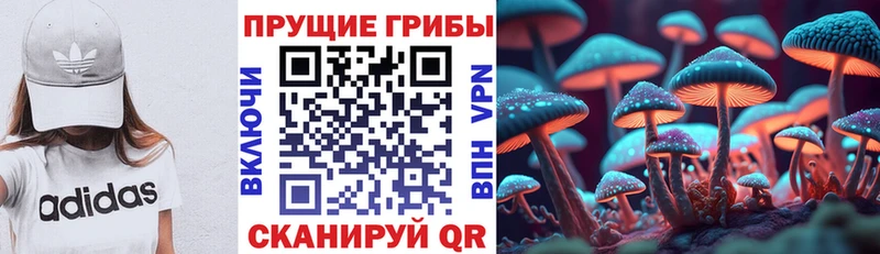 Галлюциногенные грибы Cubensis  Борисоглебск 