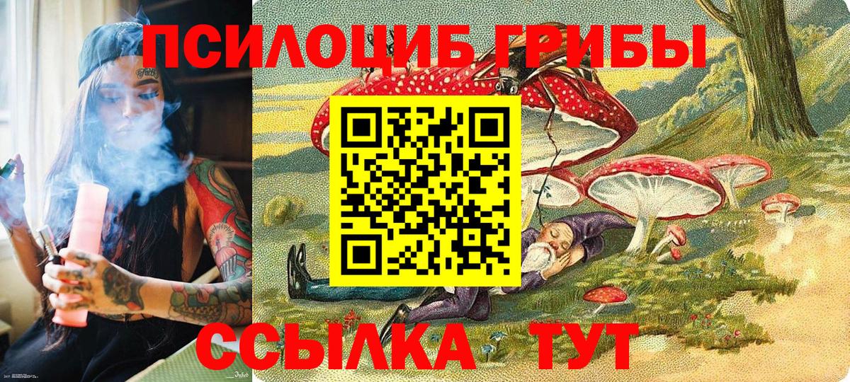 Галлюциногенные грибы Cubensis  Галлюциногенные грибы прущие грибы  Вход с VPN  Борисоглебск 