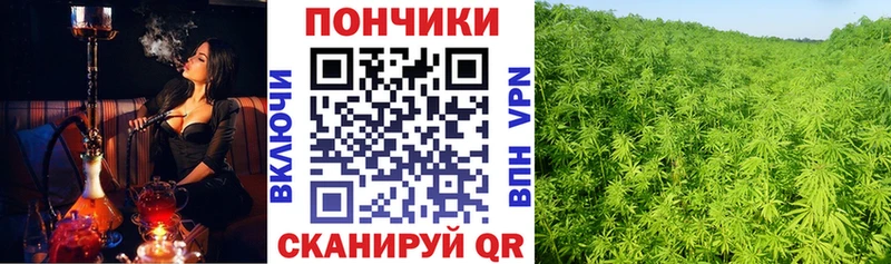 Шишки марихуана THC 21%  hydra ссылка  Борисоглебск 